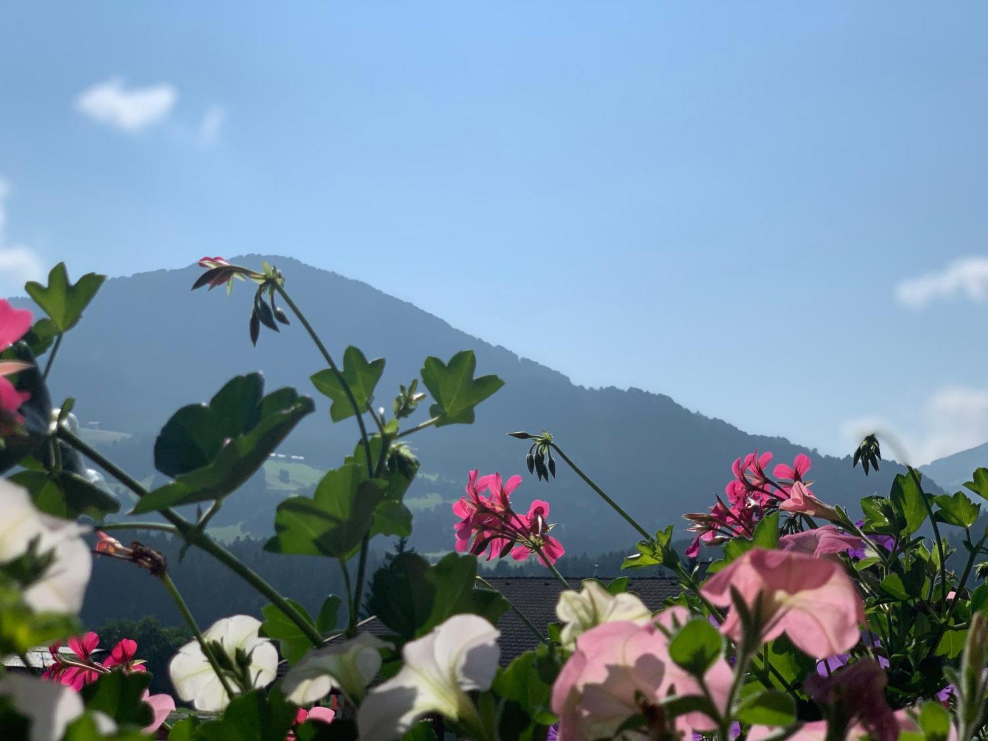 Ferienwohnung Dorfjuwel Alpbachtal Reith im Alpbachtal Exterior foto